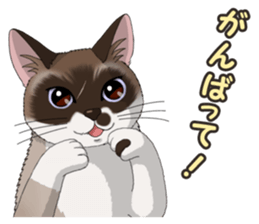 4Cats Vol.2 sticker #15689858