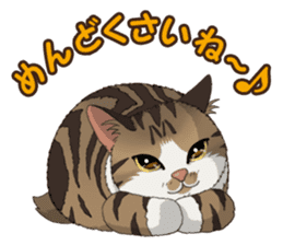 4Cats Vol.2 sticker #15689860