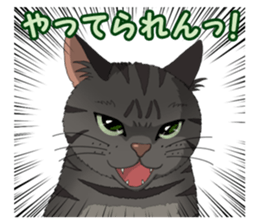 4Cats Vol.2 sticker #15689861