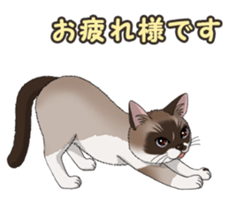 4Cats Vol.2 sticker #15689862