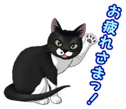 4Cats Vol.2 sticker #15689863