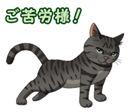 4Cats Vol.2 sticker #15689865