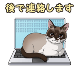 4Cats Vol.2 sticker #15689866