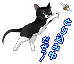 4Cats Vol.2 sticker #15689867