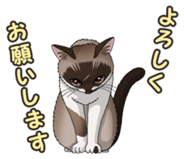 4Cats Vol.2 sticker #15689870