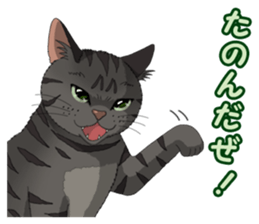 4Cats Vol.2 sticker #15689873