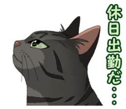 4Cats Vol.2 sticker #15689881