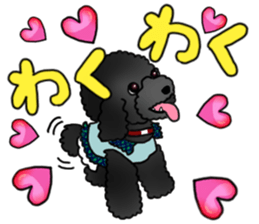 COO-chan 2 : Black Toy Poodle sticker #15690267