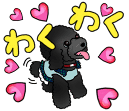 COO-chan 2 : Black Toy Poodle sticker #15690267
