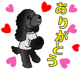 COO-chan 2 : Black Toy Poodle sticker #15690268