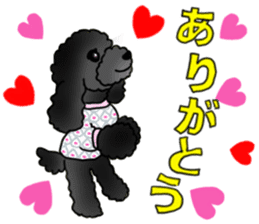 COO-chan 2 : Black Toy Poodle sticker #15690268
