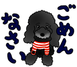 COO-chan 2 : Black Toy Poodle sticker #15690271