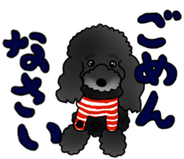 COO-chan 2 : Black Toy Poodle sticker #15690271