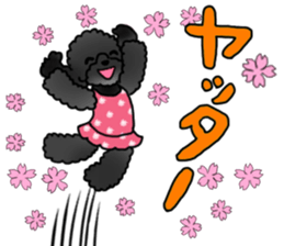 COO-chan 2 : Black Toy Poodle sticker #15690273