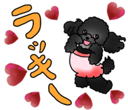 COO-chan 2 : Black Toy Poodle sticker #15690274
