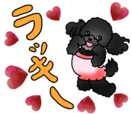 COO-chan 2 : Black Toy Poodle sticker #15690274