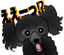 COO-chan 2 : Black Toy Poodle sticker #15690279