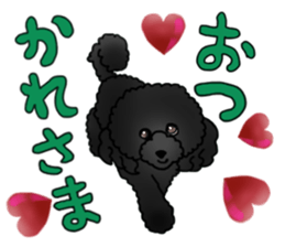 COO-chan 2 : Black Toy Poodle sticker #15690280