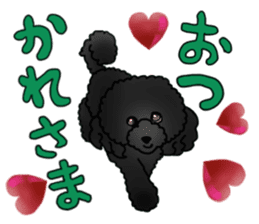 COO-chan 2 : Black Toy Poodle sticker #15690280