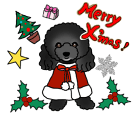 COO-chan 2 : Black Toy Poodle sticker #15690282