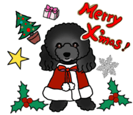 COO-chan 2 : Black Toy Poodle sticker #15690282