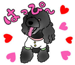 COO-chan 2 : Black Toy Poodle sticker #15690284