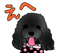 COO-chan 2 : Black Toy Poodle sticker #15690285