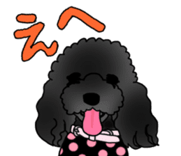 COO-chan 2 : Black Toy Poodle sticker #15690285