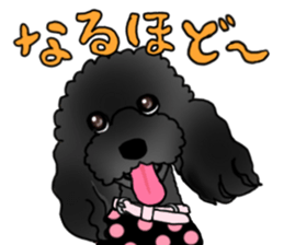 COO-chan 2 : Black Toy Poodle sticker #15690286