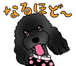 COO-chan 2 : Black Toy Poodle sticker #15690286