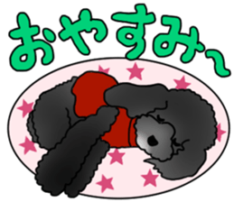 COO-chan 2 : Black Toy Poodle sticker #15690287