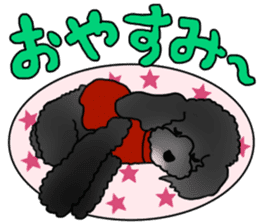 COO-chan 2 : Black Toy Poodle sticker #15690287