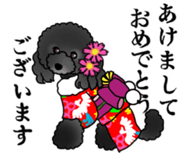 COO-chan 2 : Black Toy Poodle sticker #15690288