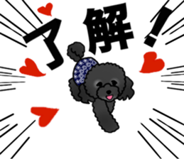 COO-chan 2 : Black Toy Poodle sticker #15690290