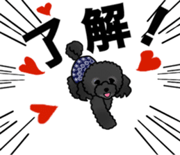 COO-chan 2 : Black Toy Poodle sticker #15690290