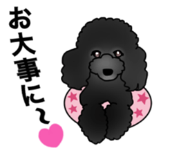 COO-chan 2 : Black Toy Poodle sticker #15690291