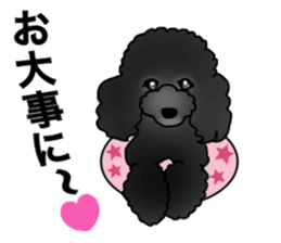 COO-chan 2 : Black Toy Poodle sticker #15690291