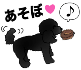 COO-chan 2 : Black Toy Poodle sticker #15690293