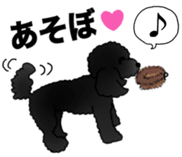 COO-chan 2 : Black Toy Poodle sticker #15690293