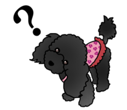 COO-chan 2 : Black Toy Poodle sticker #15690294