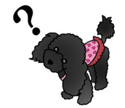 COO-chan 2 : Black Toy Poodle sticker #15690294
