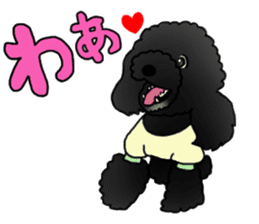 COO-chan 2 : Black Toy Poodle sticker #15690295