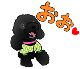 COO-chan 2 : Black Toy Poodle sticker #15690296