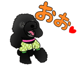COO-chan 2 : Black Toy Poodle sticker #15690296