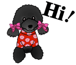 COO-chan 2 : Black Toy Poodle sticker #15690298