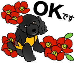 COO-chan 2 : Black Toy Poodle sticker #15690300