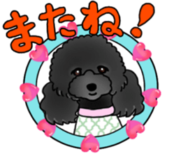 COO-chan 2 : Black Toy Poodle sticker #15690302