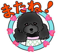 COO-chan 2 : Black Toy Poodle sticker #15690302