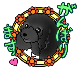 COO-chan 2 : Black Toy Poodle sticker #15690303