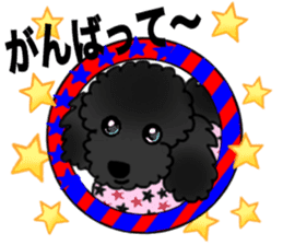 COO-chan 2 : Black Toy Poodle sticker #15690304
